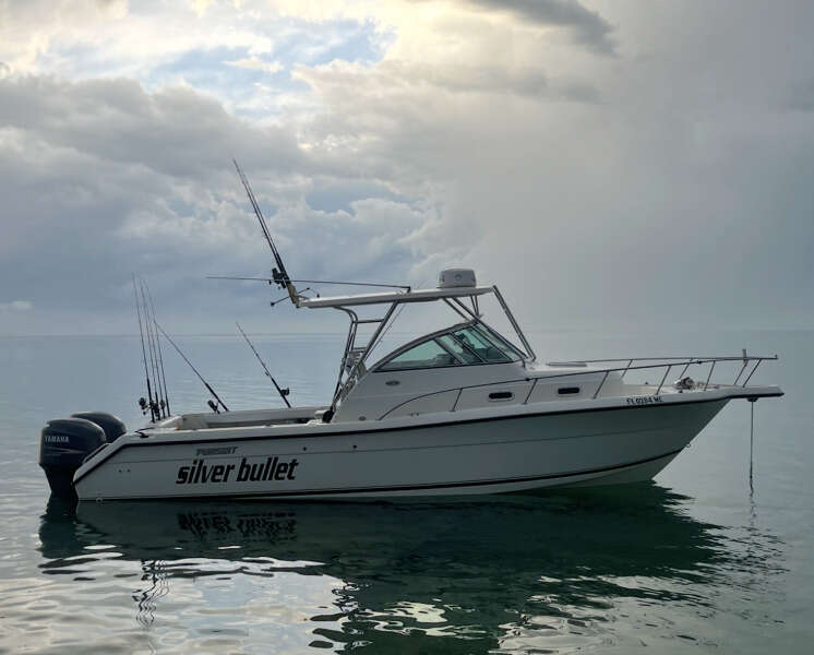 Silver Bullet 31ft Pursuit Yacht For Sale