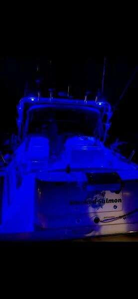 29ft Sea Ray Yacht For Sale