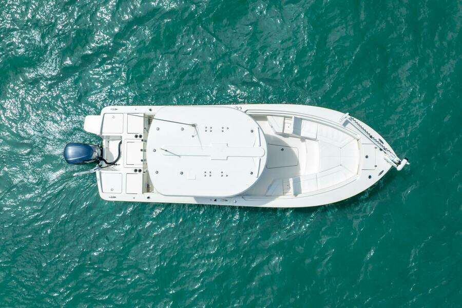 26ft Regulator Yacht For Sale