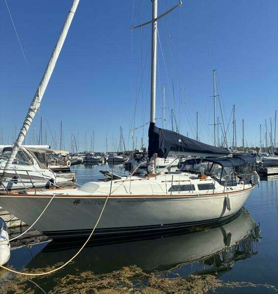 Andiamo 38ft C amp C Yacht For Sale