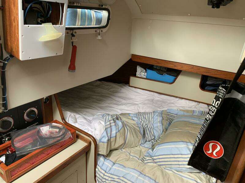Andiamo 38ft C amp C Yacht For Sale