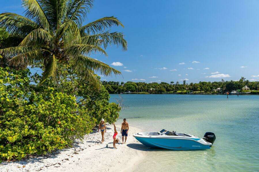 17ft Bayliner Yacht For Sale