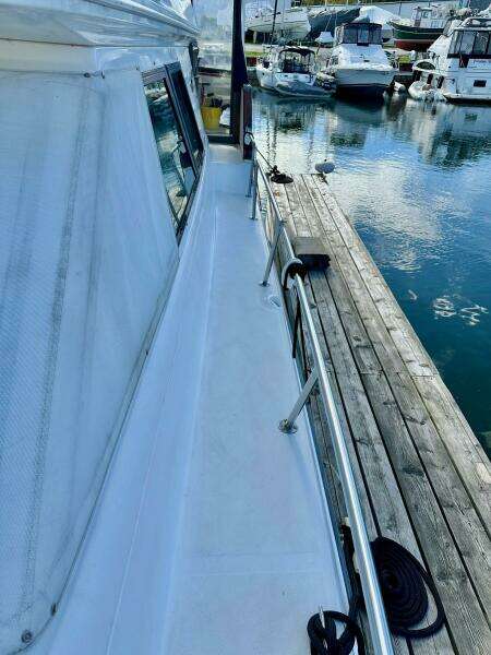 19th Hole 38ft Sea Ray Yacht For Sale