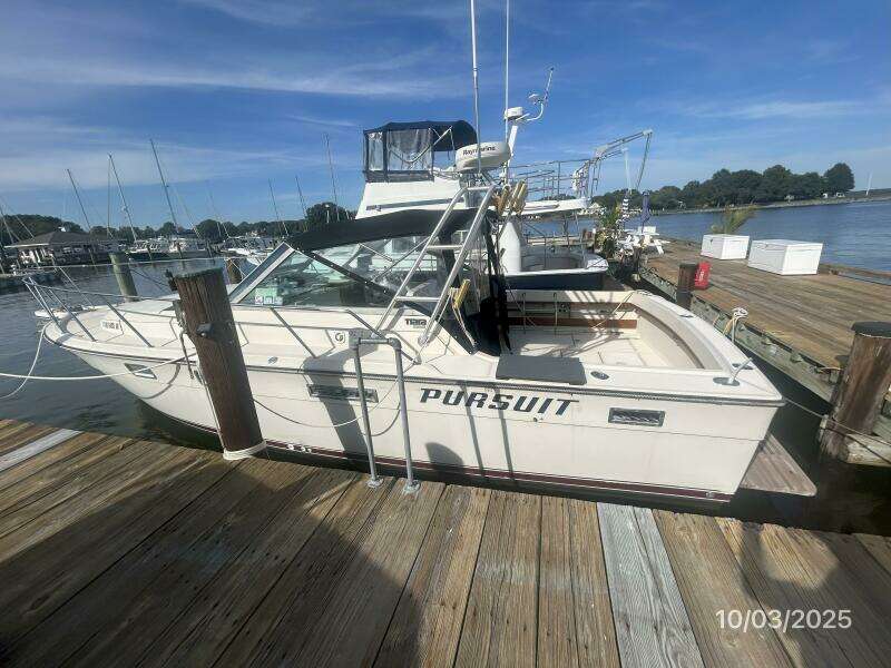 31' Pursuit port profile