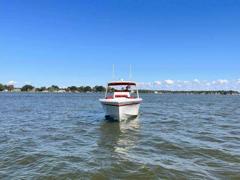 CAT 5 36ft Avanti Yacht For Sale