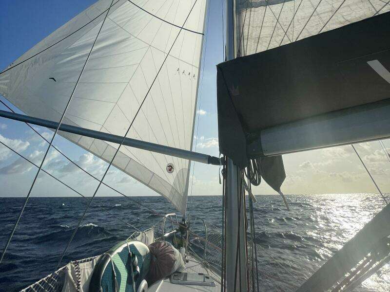 White Pelican 42ft Elan Yacht For Sale
