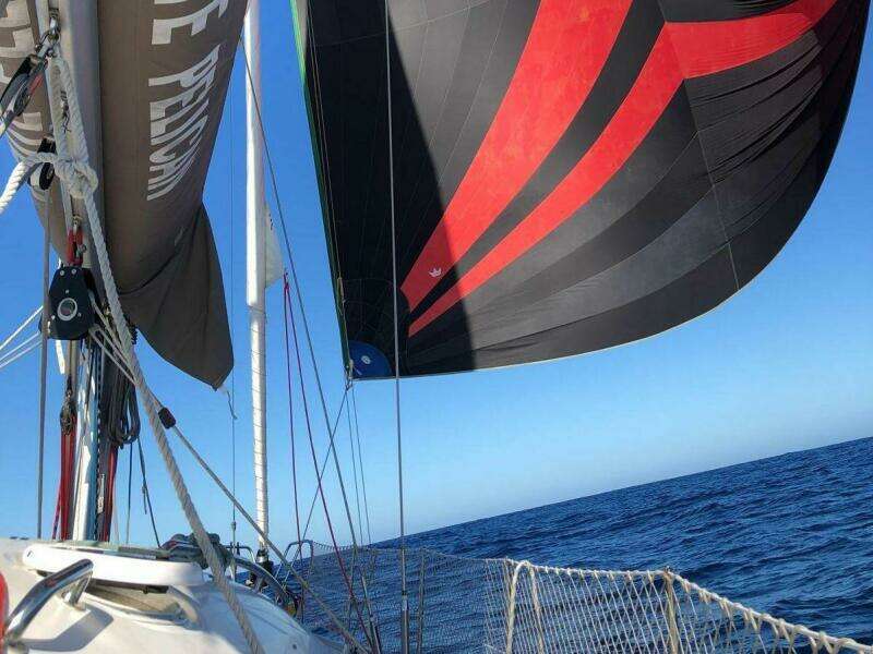 White Pelican 42ft Elan Yacht For Sale