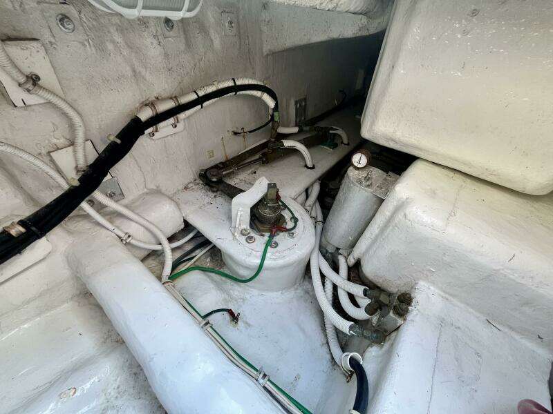 Fun Bunch 39ft Bertram Yacht For Sale