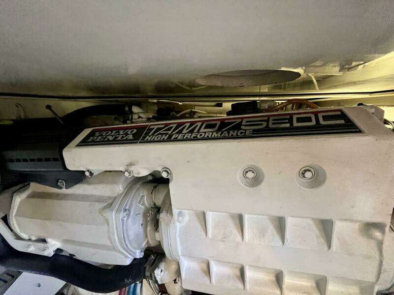 Fun Bunch 39ft Bertram Yacht For Sale