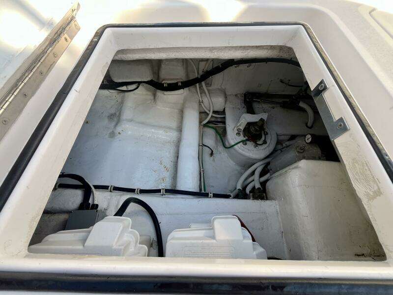 Fun Bunch 39ft Bertram Yacht For Sale