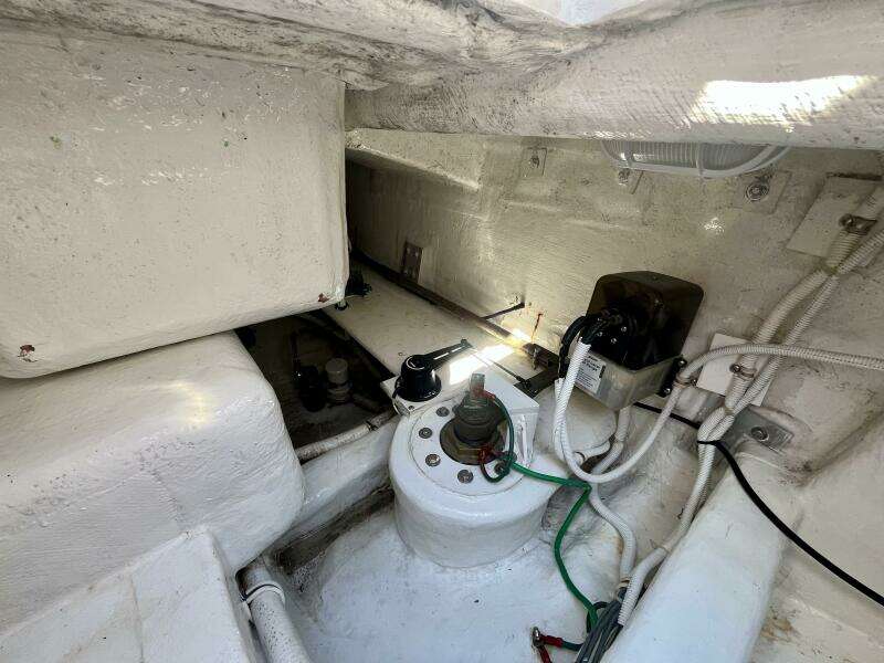 Fun Bunch 39ft Bertram Yacht For Sale