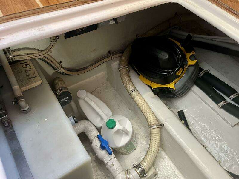 Fun Bunch 39ft Bertram Yacht For Sale