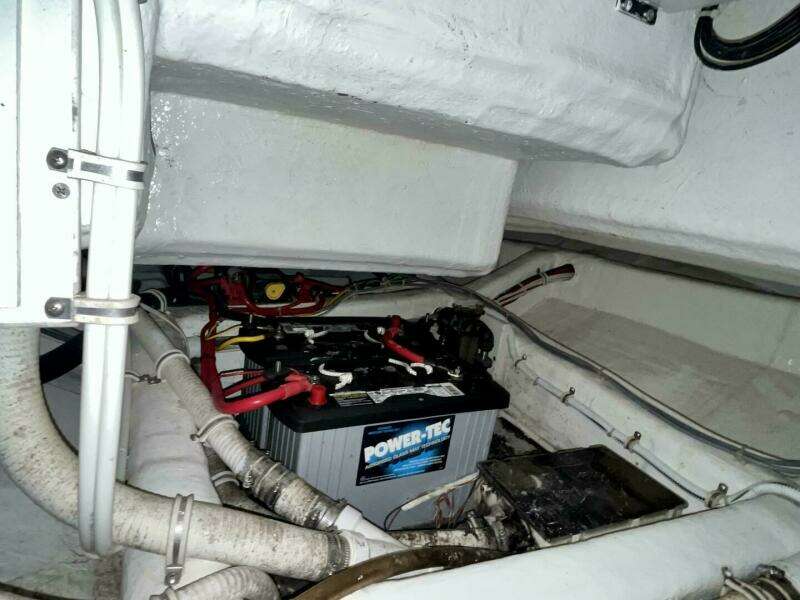 Fun Bunch 39ft Bertram Yacht For Sale