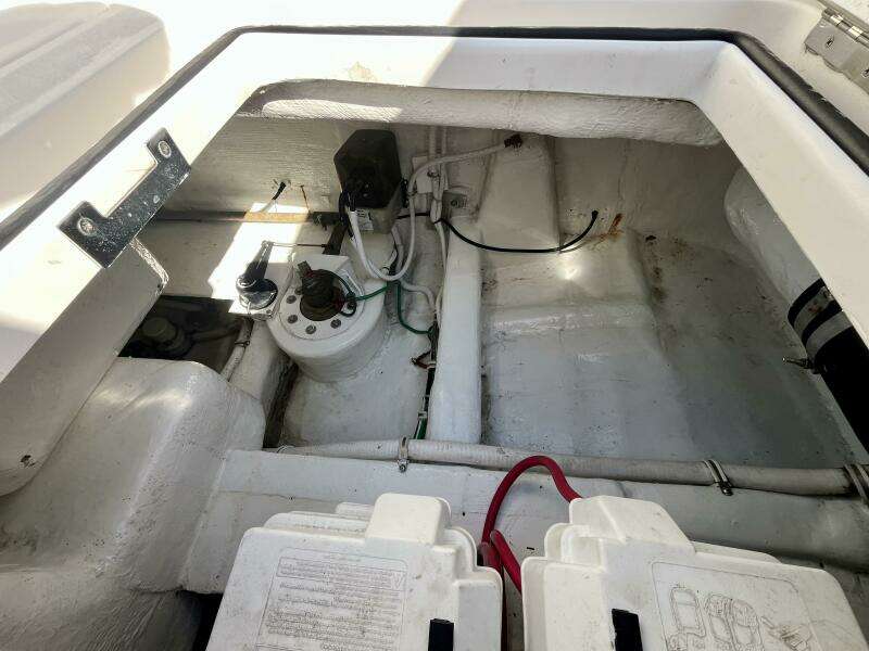 Fun Bunch 39ft Bertram Yacht For Sale