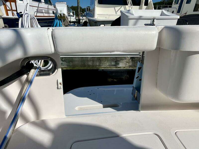 Fun Bunch 39ft Bertram Yacht For Sale