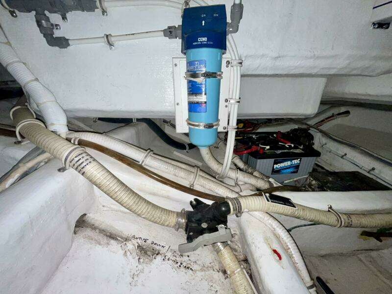 Fun Bunch 39ft Bertram Yacht For Sale