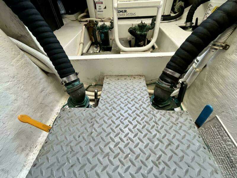 Fun Bunch 39ft Bertram Yacht For Sale