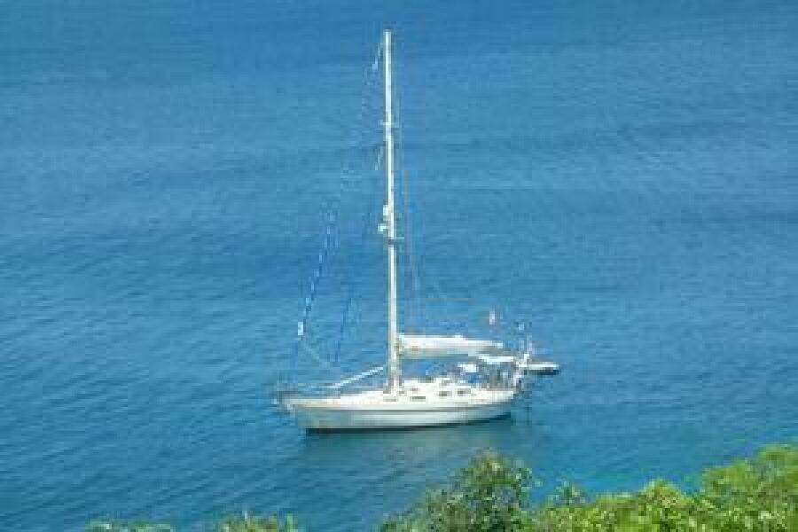 Carribean in 2021