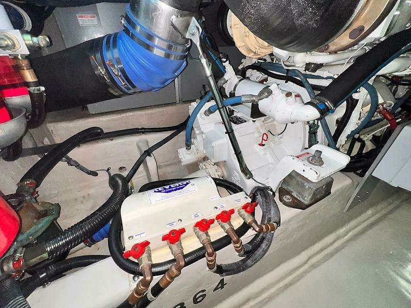 0005425918