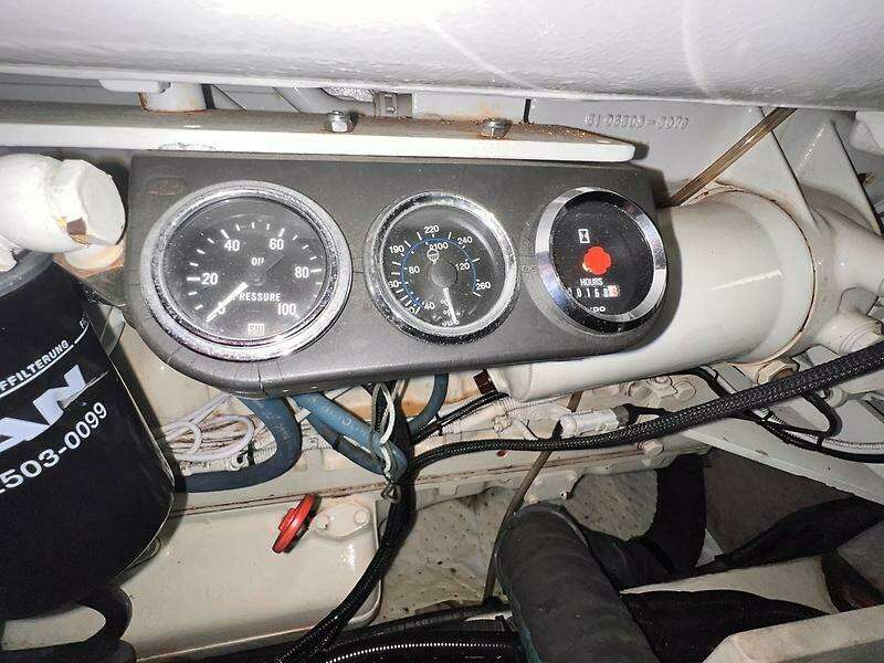 0005425919