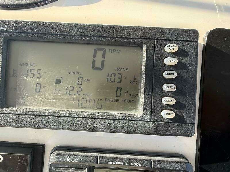 0005423982