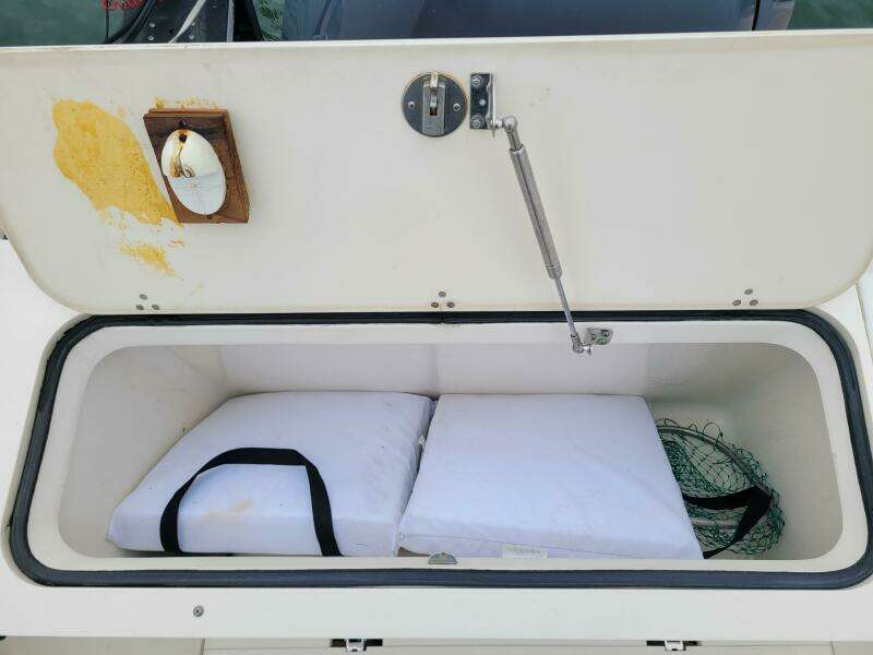 Blue Moon 25ft Pursuit Yacht For Sale