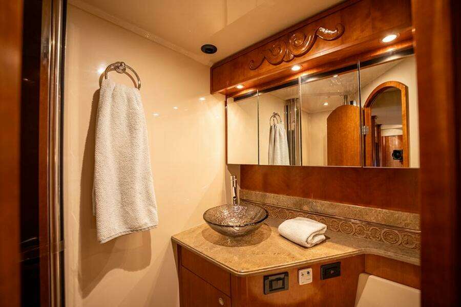 Master vanity sink