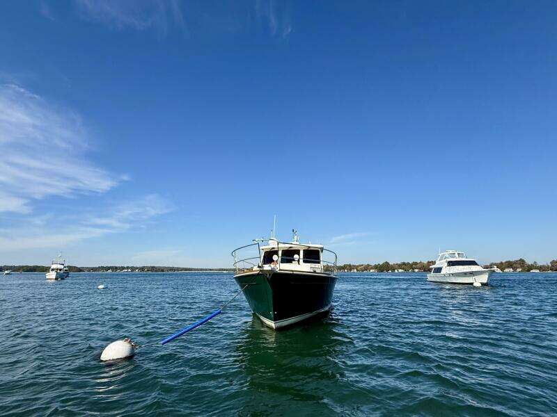 Lucky Chicklette 42ft Sabre Yacht For Sale