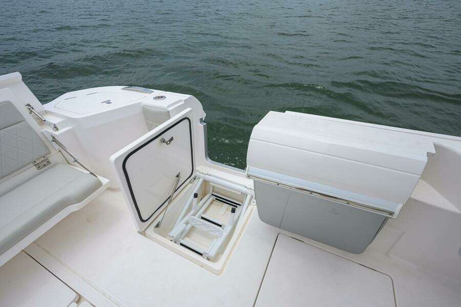 Cockpit Swim Ladder