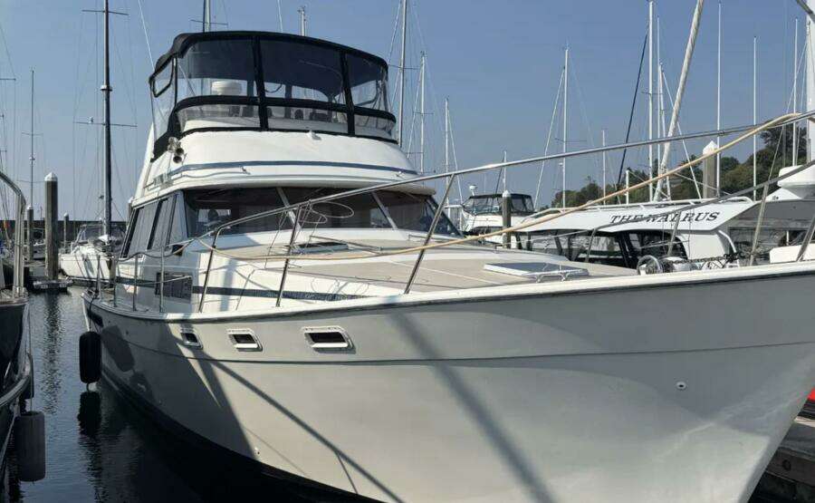 40ft Bayliner Yacht For Sale