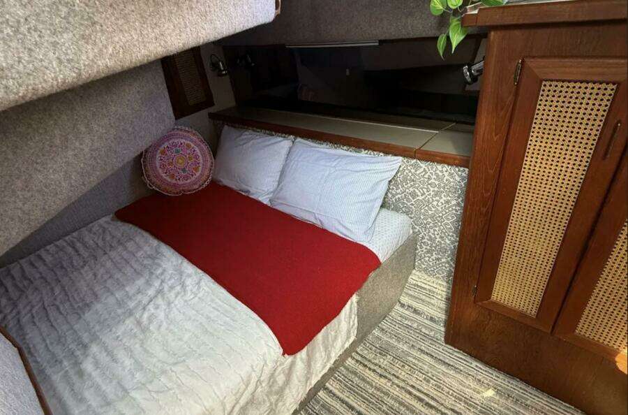 40ft Bayliner Yacht For Sale
