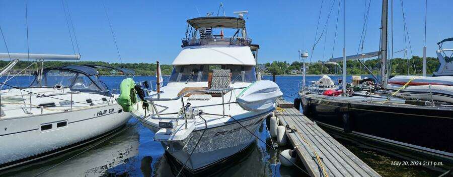 Epic Adventure 48ft Neptunus Yacht For Sale