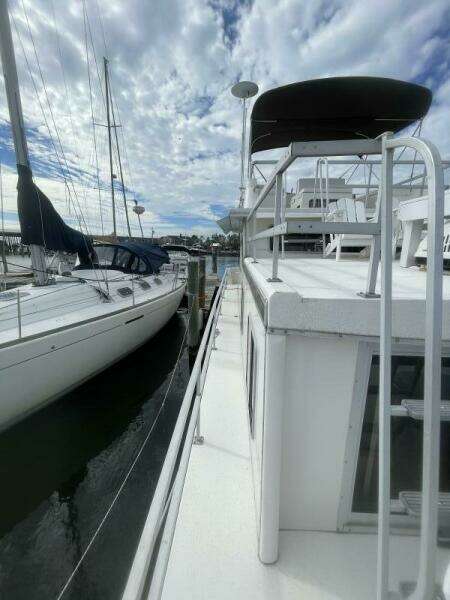 Sea Dog 37ft Gibson Yacht For Sale