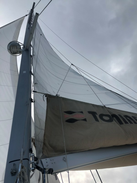 Used Sail Catamaran for sale