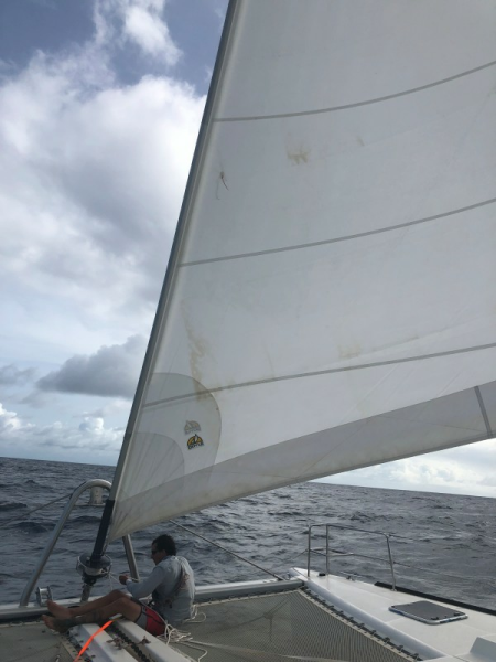 Used Sail Catamaran for sale