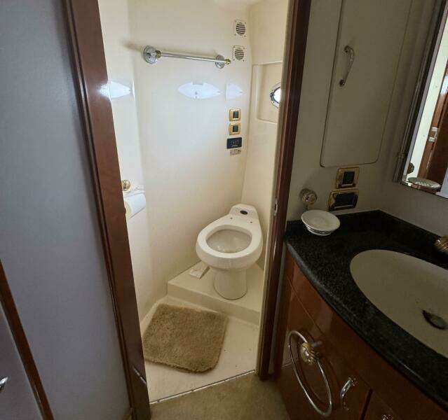 Sea Eagle 57ft Carver Yacht For Sale