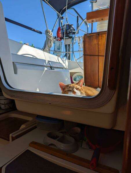 Larose des Vents V 33ft Hunter Yacht For Sale