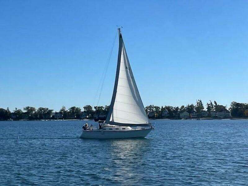 28ft Tartan Yacht For Sale