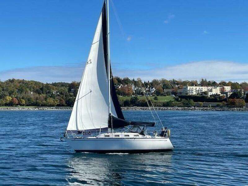 28ft Tartan Yacht For Sale