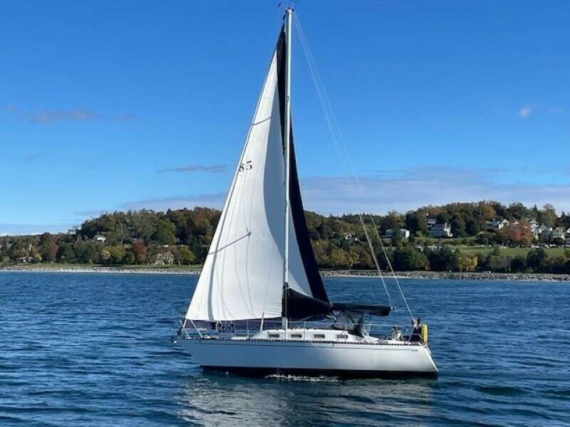28ft Tartan Yacht For Sale