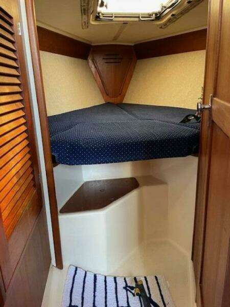 28ft Tartan Yacht For Sale