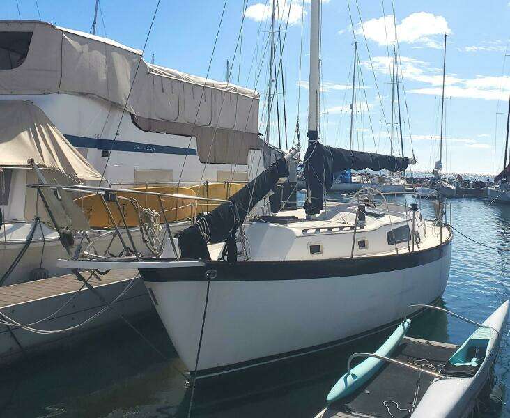 KAIZEN 37ft Irwin Yacht For Sale