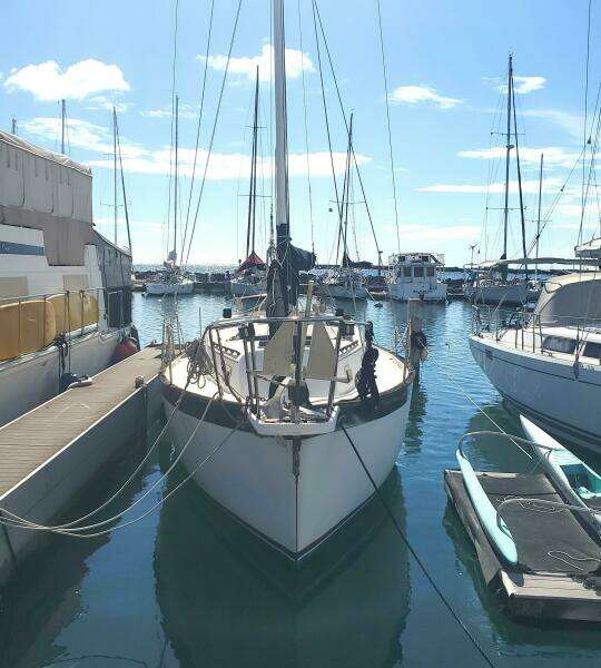 KAIZEN 37ft Irwin Yacht For Sale