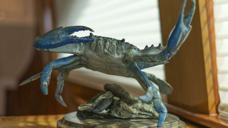 Hatteras 80 Gallopin- Decor Hatteras 80 Gallopin- Decor