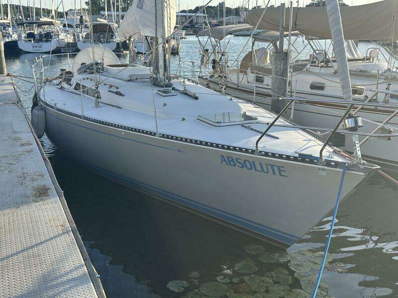 1984 C&C 41