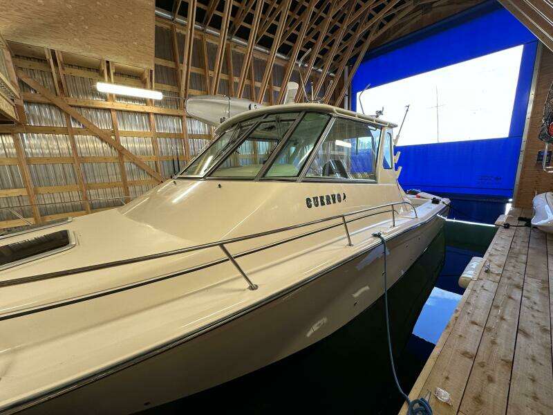 Cuervo 37ft Grady White Yacht For Sale