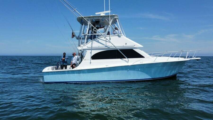 Starboard Profile