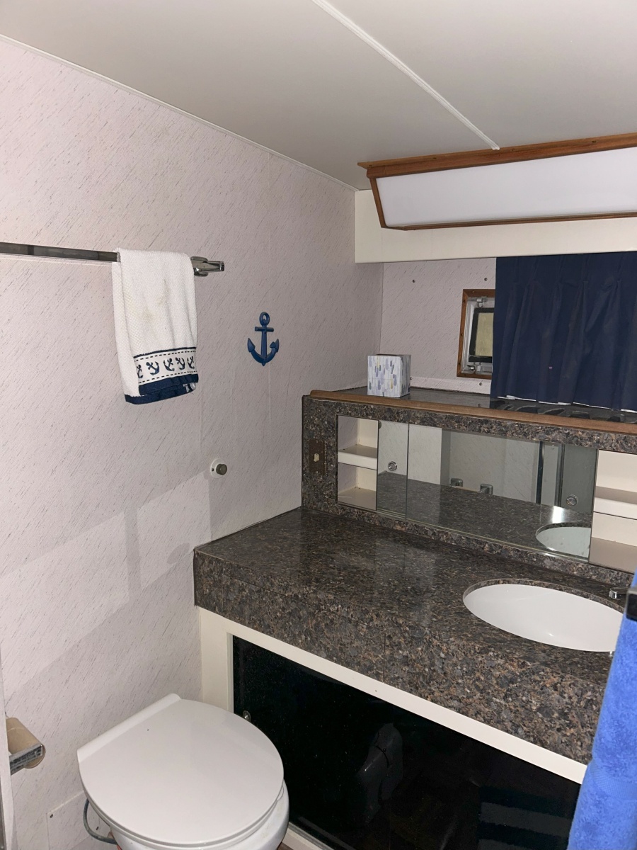 1977 Bertram 42 Motor Yacht