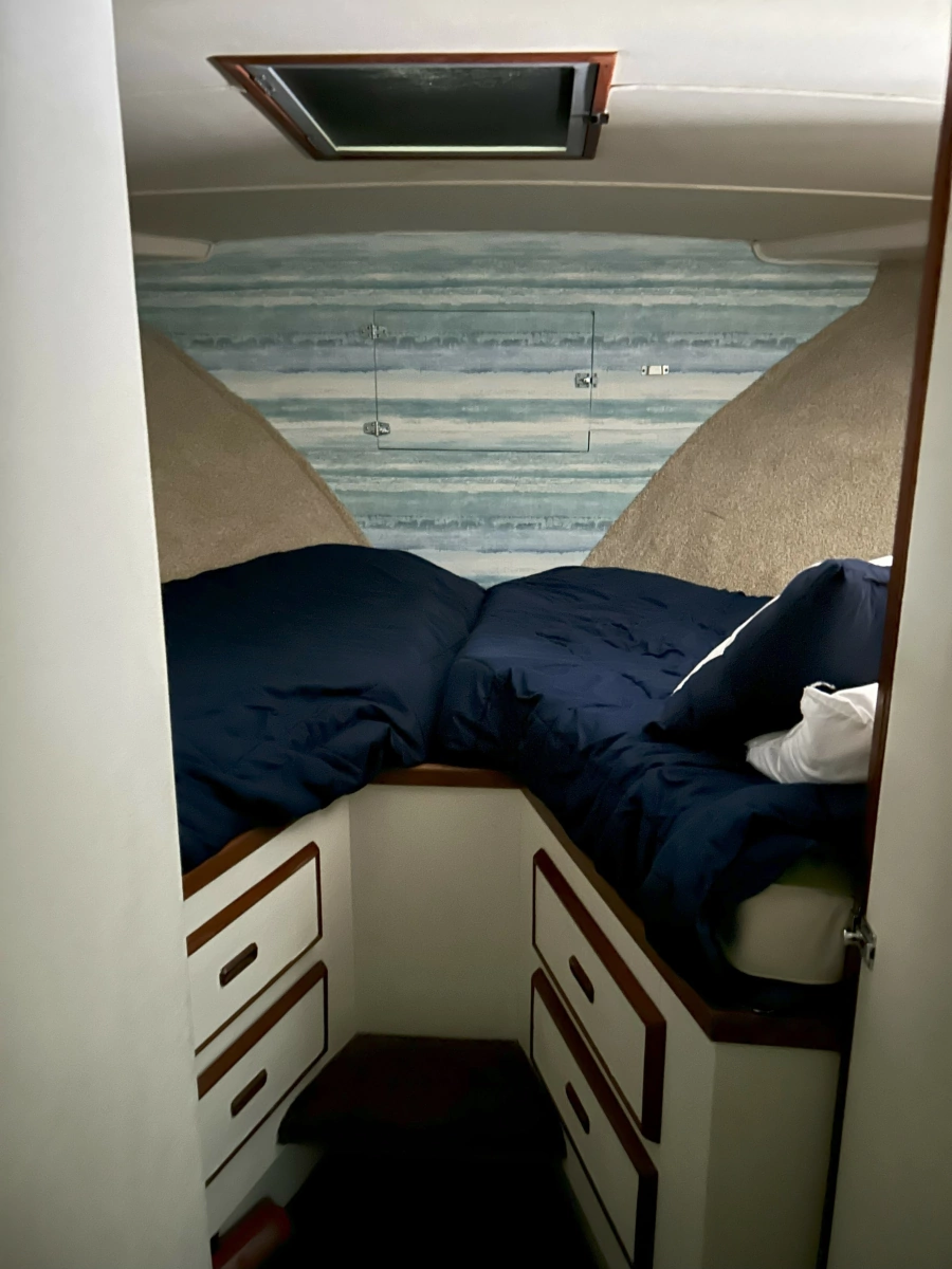 1977 Bertram 42 Motor Yacht