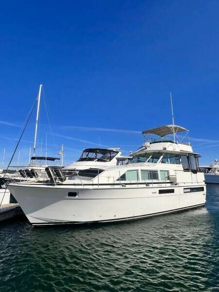 Here s To You 42ft Bertram Yacht For Sale